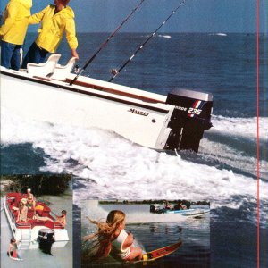 1979 Evinrude Brochure Page 3