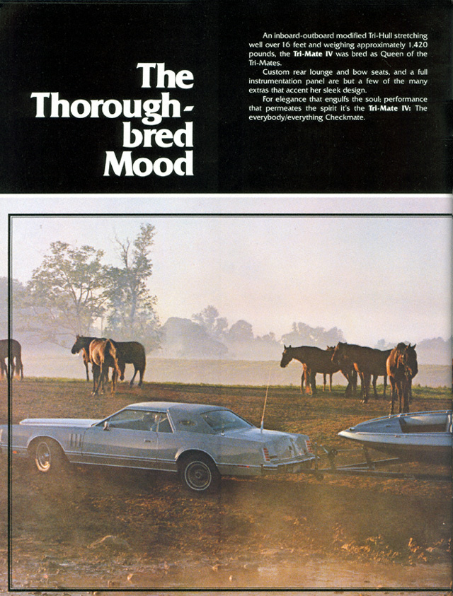 1978 Checkmate Brochure Page 18