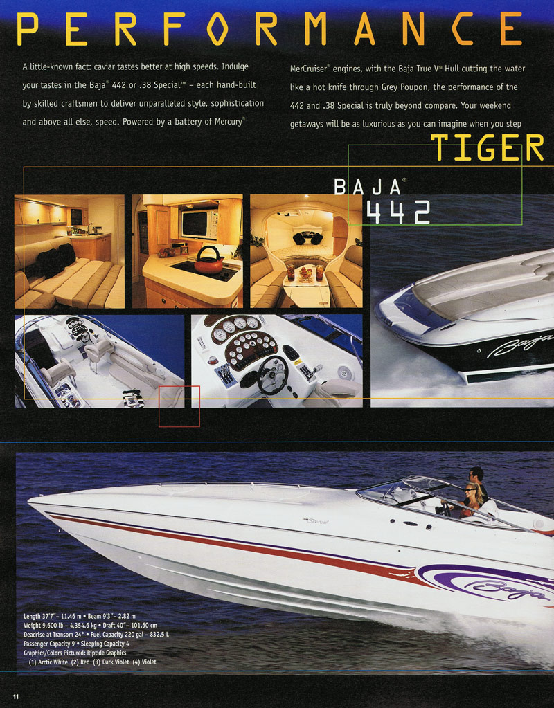 2001 Baja Brochure Page 11